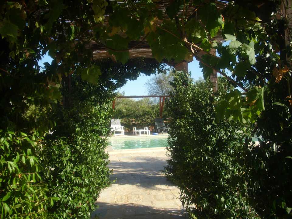Der Weg zum Pool Bed & Breakfast Masseria Cesarina
