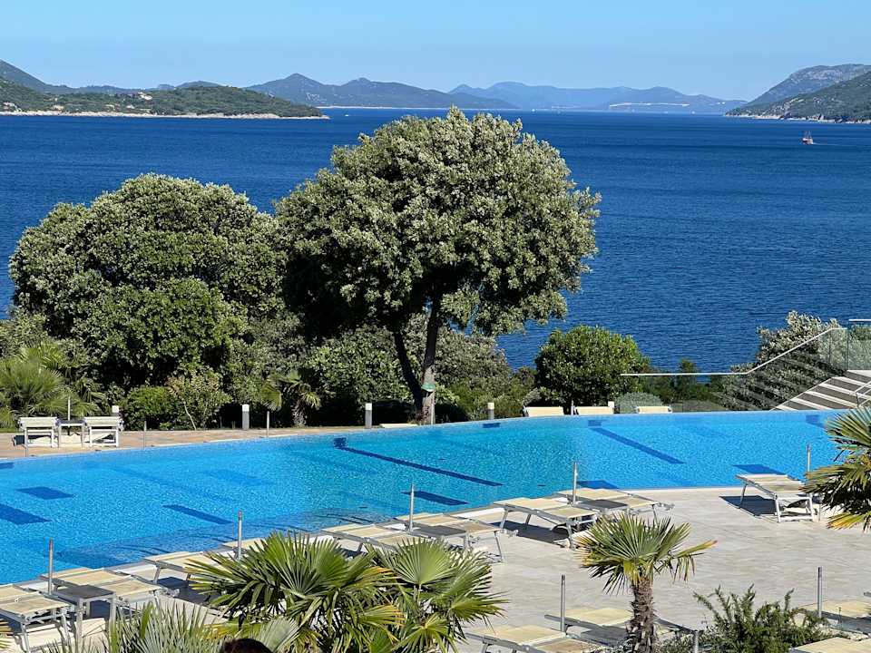 Pool Valamar Argosy Hotel