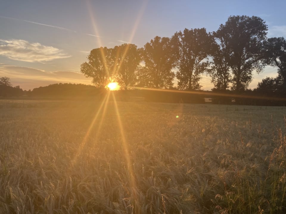 Ausblick Ferienhof Hochthanner