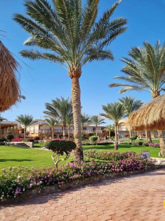 Gartenanlage Three Corners Sea Beach Resort