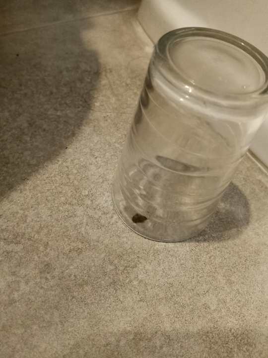 Zimmer Hotel Neptunia Skanes