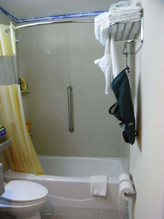 Bad Hotel Days Inn - Long Island City