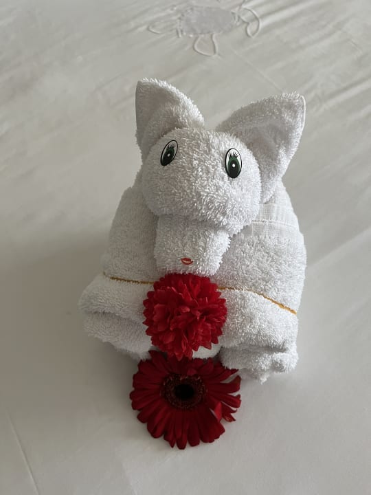 Zimmer Akumal Bay Beach & Wellness Resort