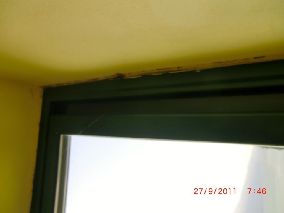 Schimmel Zimmerfenster Centro Vacanze La Limonaia