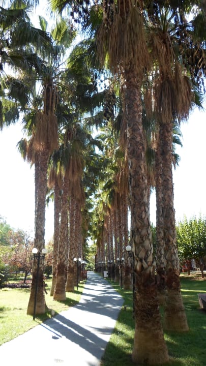 Weg zum Strand Hotel Gardenia Beach