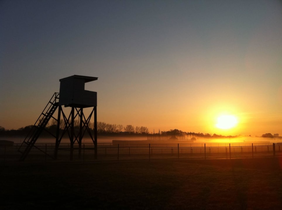 Sonnenaufgang ueber der Galopprennbahn ATLANTIC Hotel Galopprennbahn
