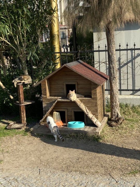 Gartenanlage Aydinbey Kings Palace & Spa