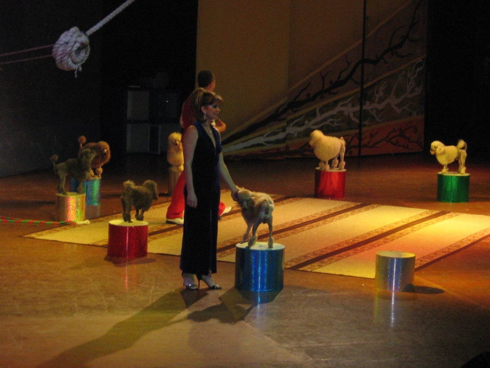 Abendshow VONRESORT Golden Beach