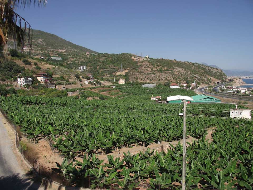 Von der Terrasse aus  La Finca Marina