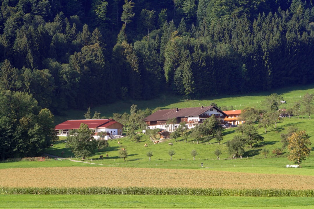 Außenansicht Unterulpointhof