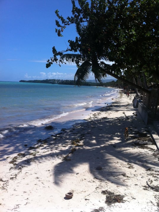 Der Bulabog Beach Hotel Boracay Kite Resort Windpia