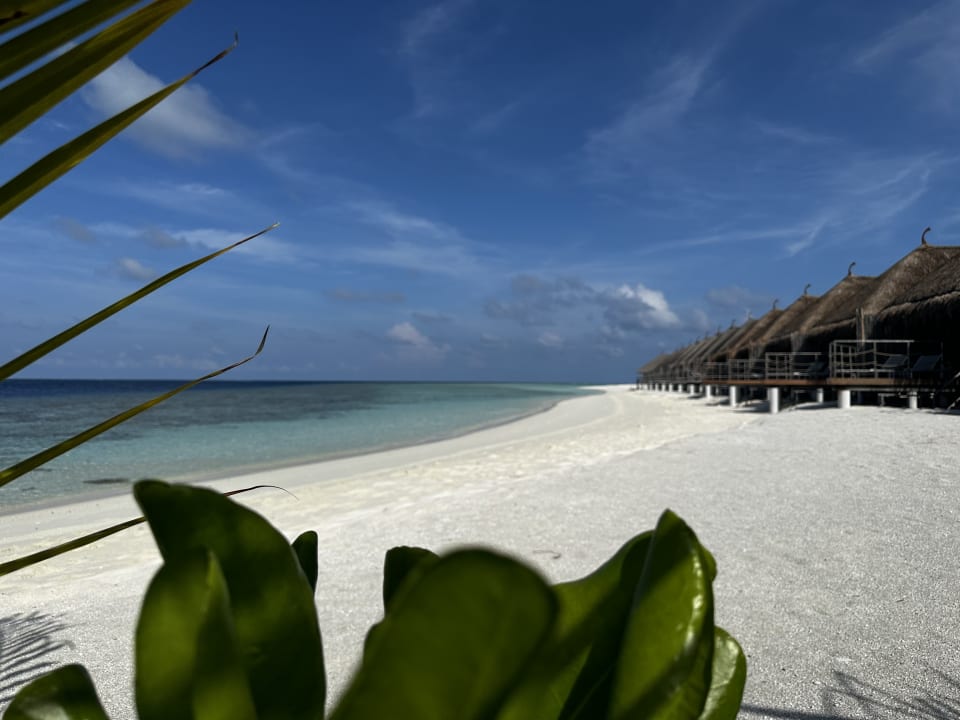 Strand Constance Moofushi Maldives