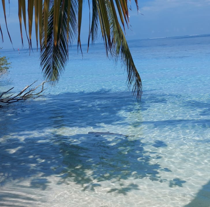 Strand Embudu Village