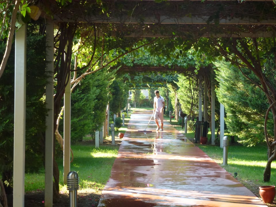 Weg zum Strand Saturn Palace Resort Hotel