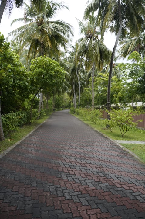 Gartenanlage Villa Park Sun Island