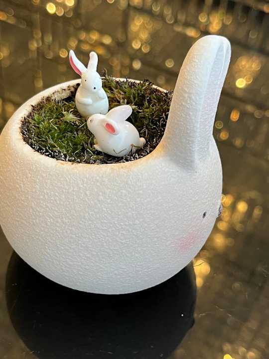 Sonstiges Hotel Mira Moon