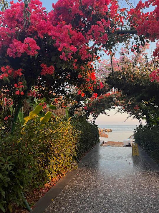 Strand Rubi Platinum Sign