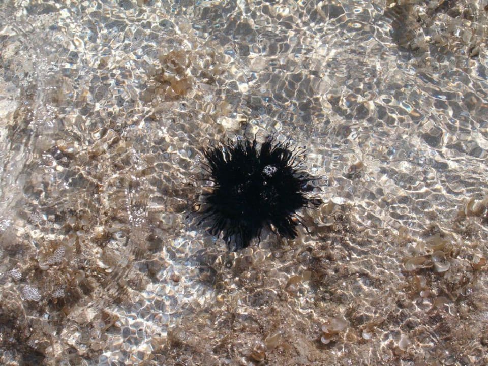 Igel Titanic Beach Spa & Aqua Park