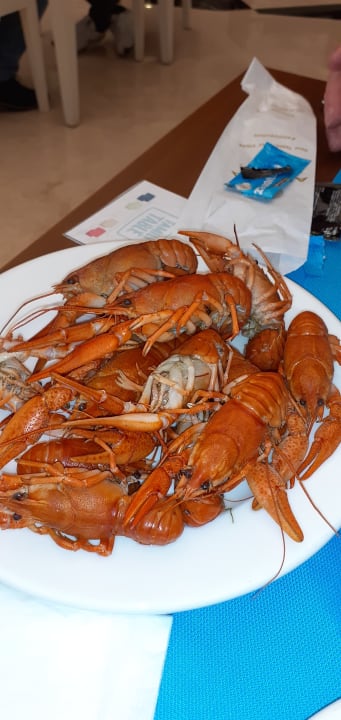 Gastro Adalya Elite Lara