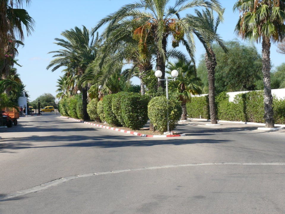 Zufahrt Hotel El Mouradi Skanes Beach