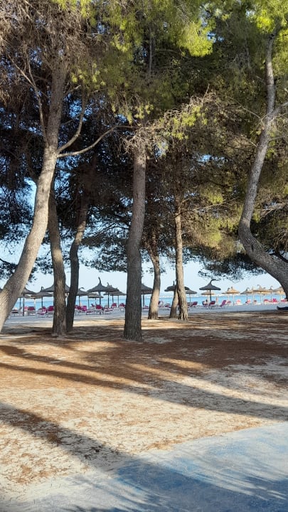 Strand Alcudia Garden Aparthotel
