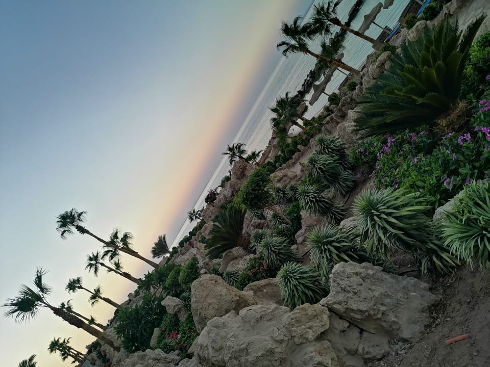 Gartenanlage Pickalbatros Citadel Resort