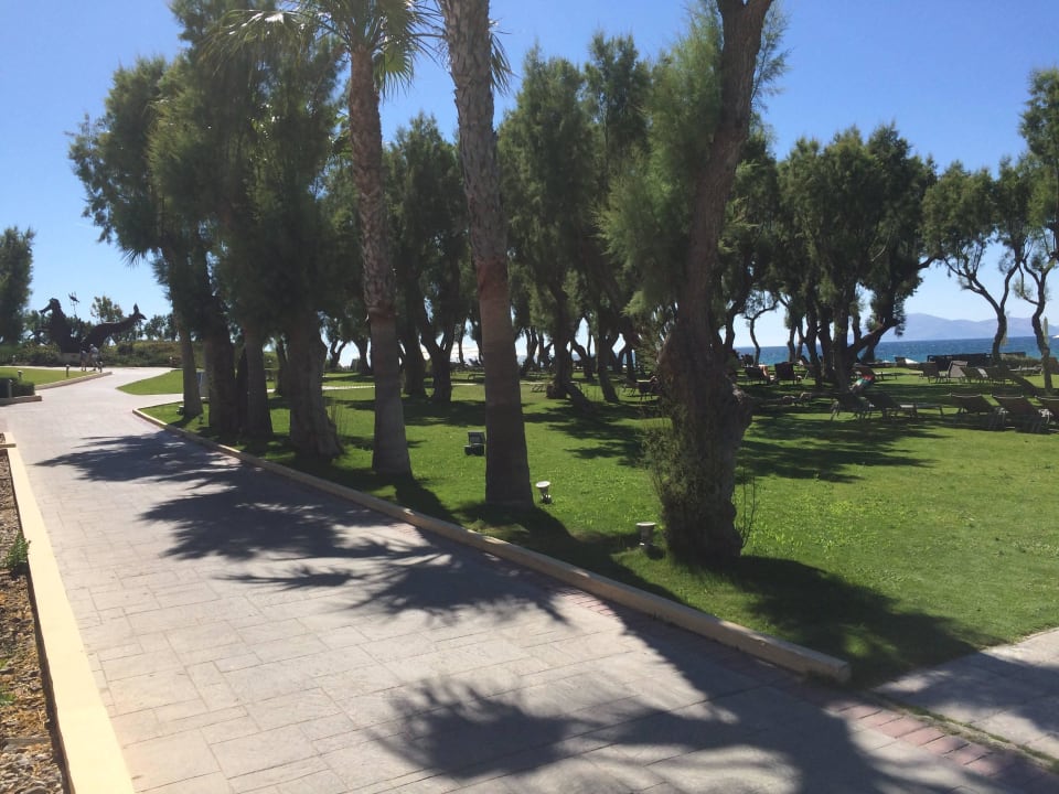 Alles sehr gepflegt Neptune Luxury Resort