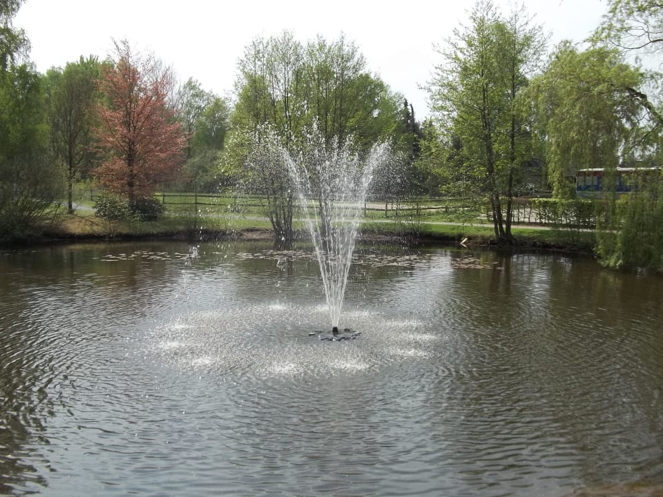 Springbrunnen am Eingang Eurostrand Resort Lüneburger Heide