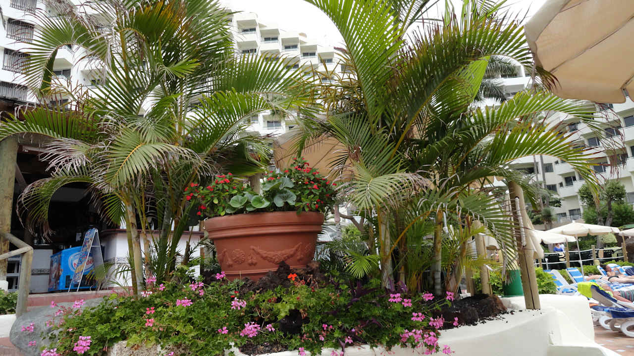 Hôtel H10 Las Palmeras - La Vue 2014 H10 Las Palmeras