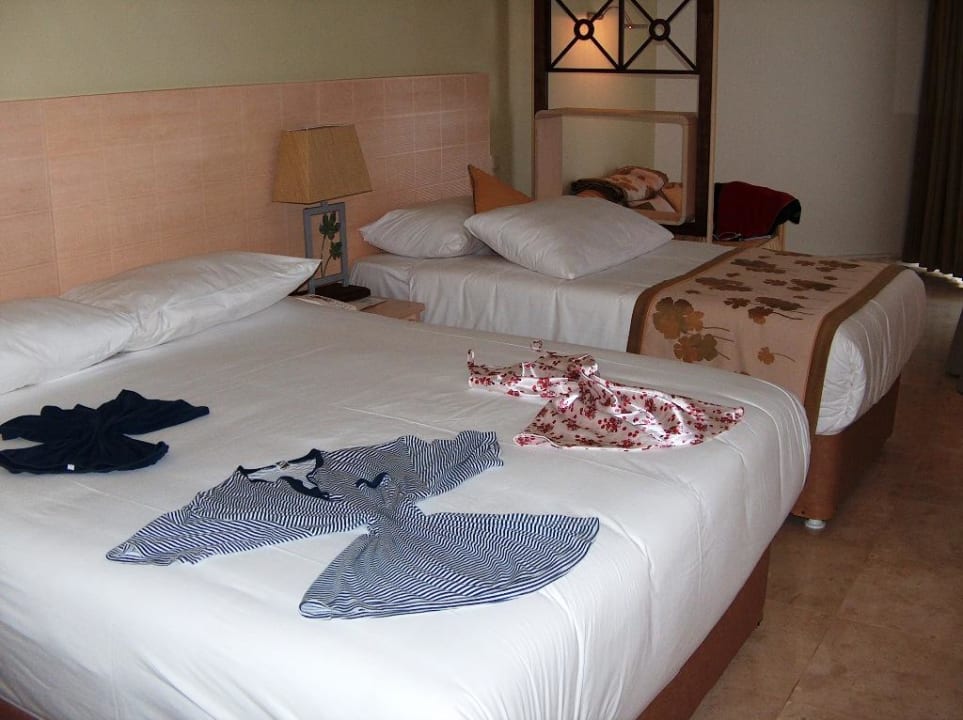 Zimmer PALOMA Perissia