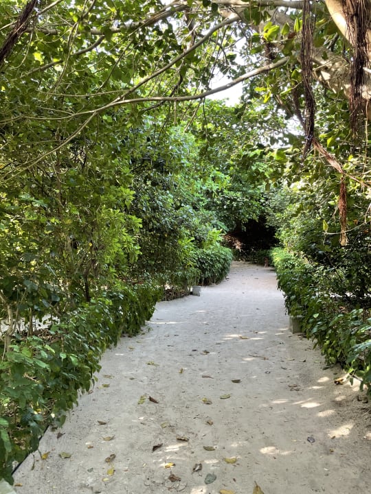 Gartenanlage Reethi Faru Resort