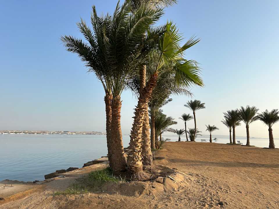 Gartenanlage Continental Hotel Hurghada