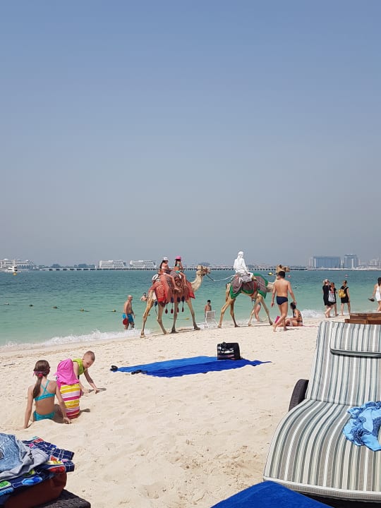 Strand Hilton Dubai Jumeirah