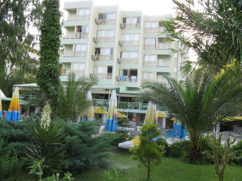 Widok na hotel Hotel Flamingo