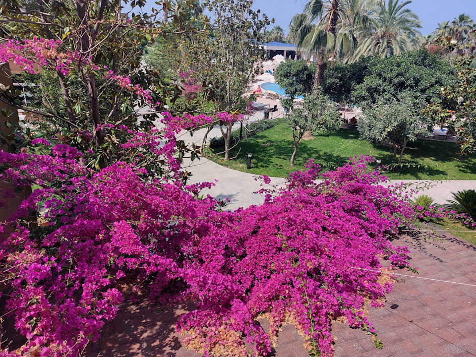 Gartenanlage Seaden Sea World Resort & Spa