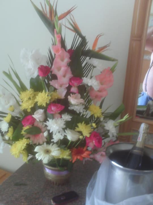 Netter Gruss Pickalbatros Dana Beach Resort - Hurghada