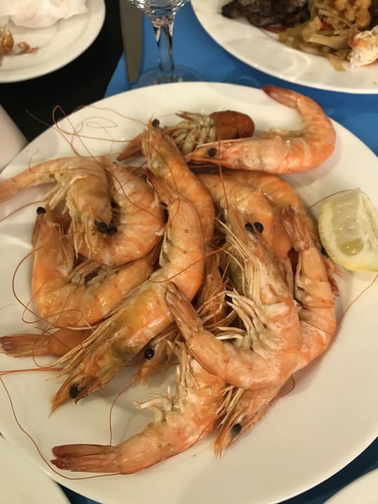 Gastro Adalya Elite Lara