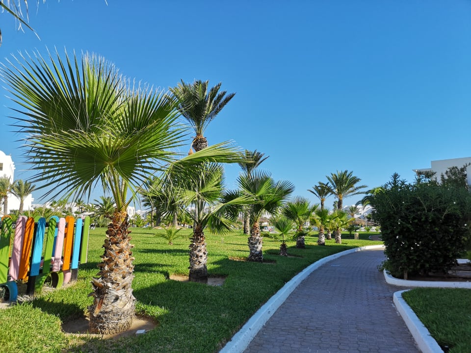 Gartenanlage Vincci Helios Beach