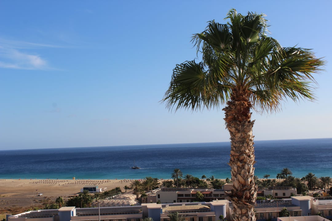 Ausblick Servatur Alameda de Jandía