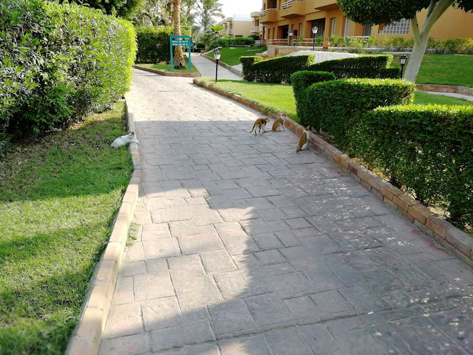 Gartenanlage Golden Beach Resort
