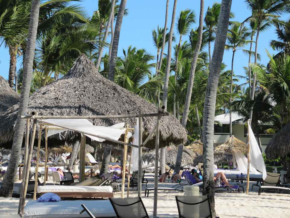Liegen und Aufenthaltsbereiche verrottet Paradisus Punta Cana Resort (Im Umbau/Renovierung)