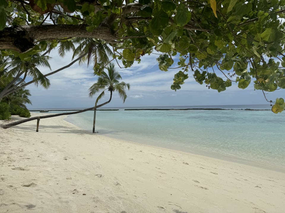 Strand Sun Siyam Vilu Reef