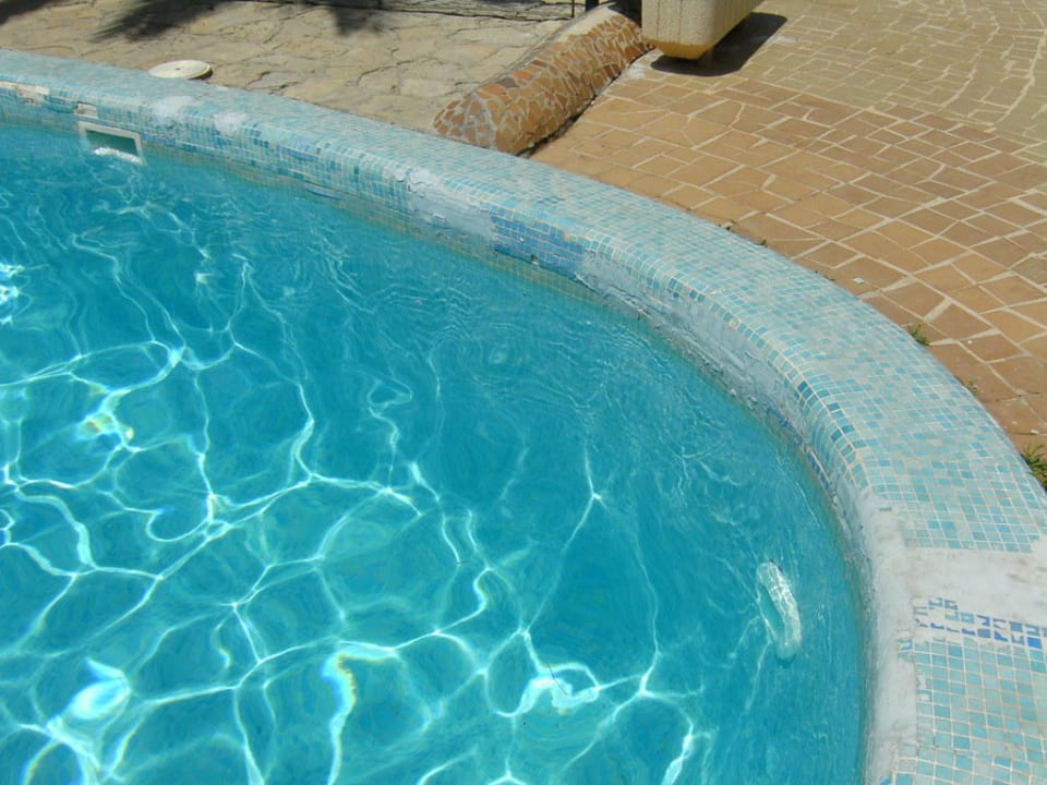 Pool Calimera Fido Gardens