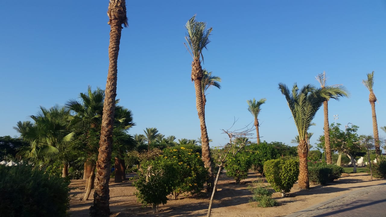 Gartenanlage Steigenberger Aqua Magic