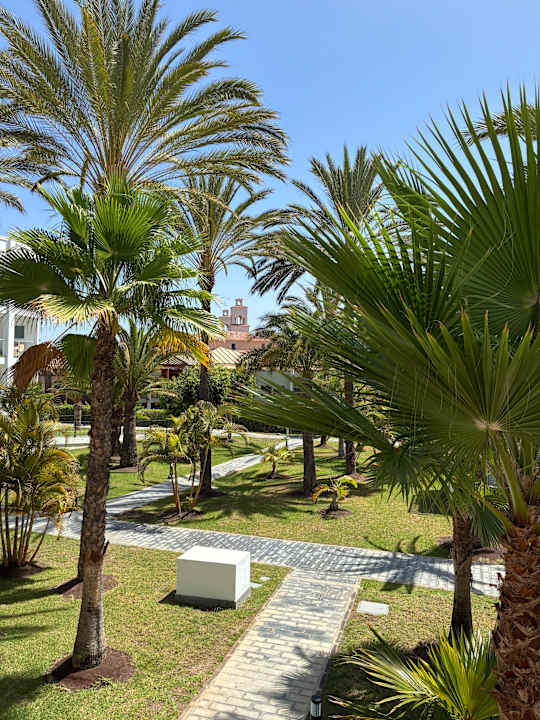 Gartenanlage Hotel Riu Palace Meloneras