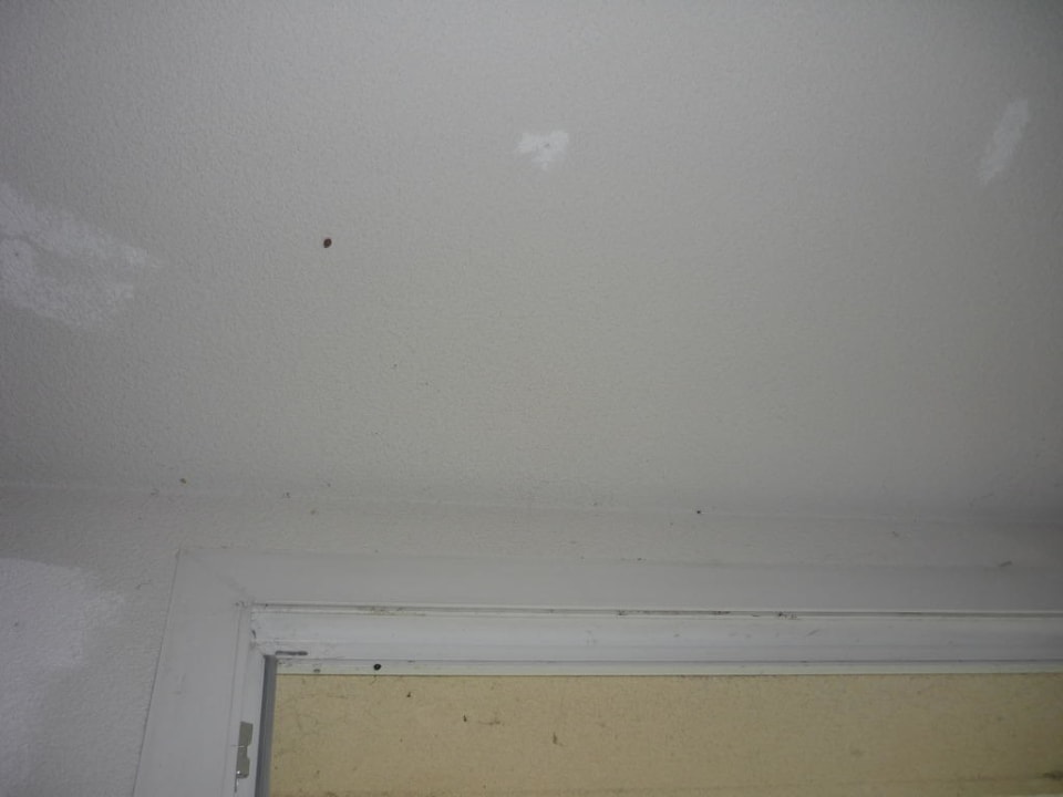 La peinture B&B Hôtel Marne-la-Vallée