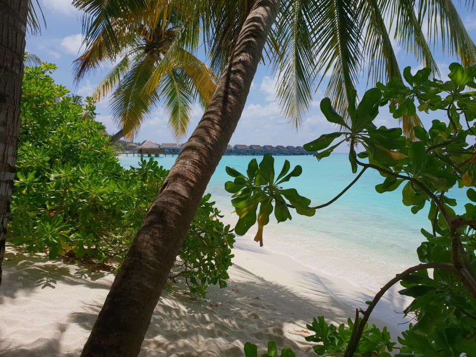 Strand Kuramathi Maldives