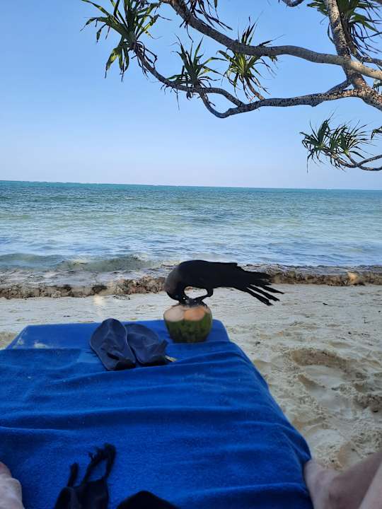 Strand Neptune Pwani Beach Resort & Spa