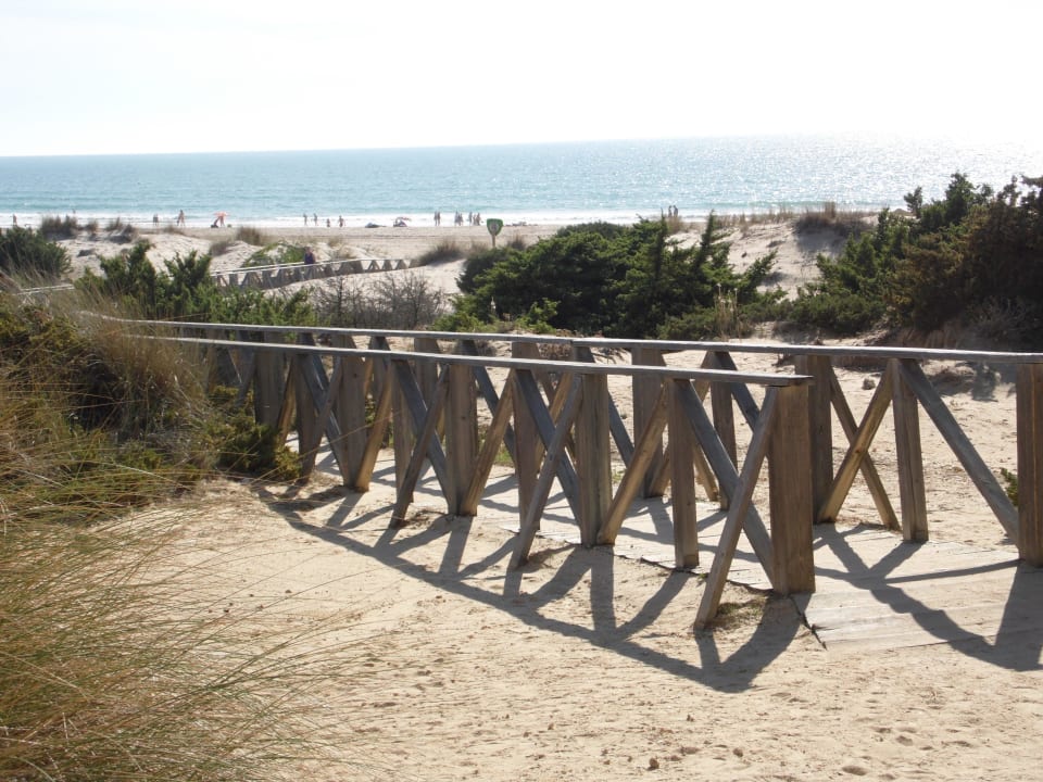 DER WEG ZUM STRAND Valentin Sancti Petri