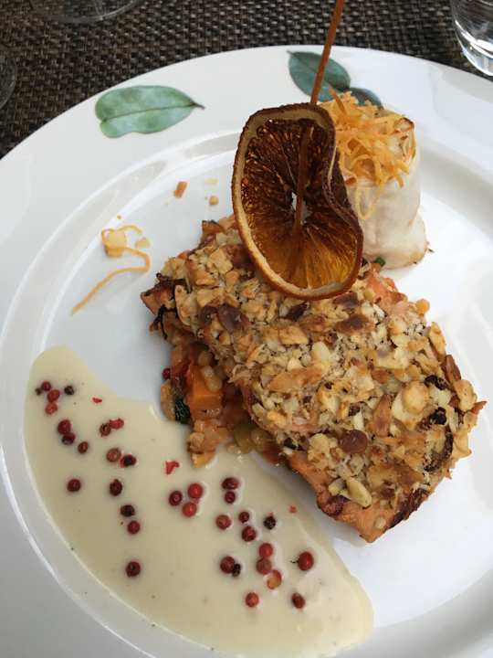 Gastro Acanthus Cennet Barut Collection